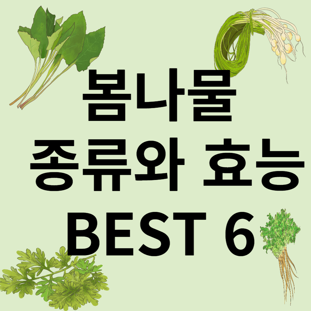 봄나물 종류와 효능 BEST6