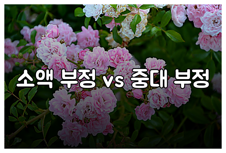 실업급여 부정수급 사례, 현명한 대응법