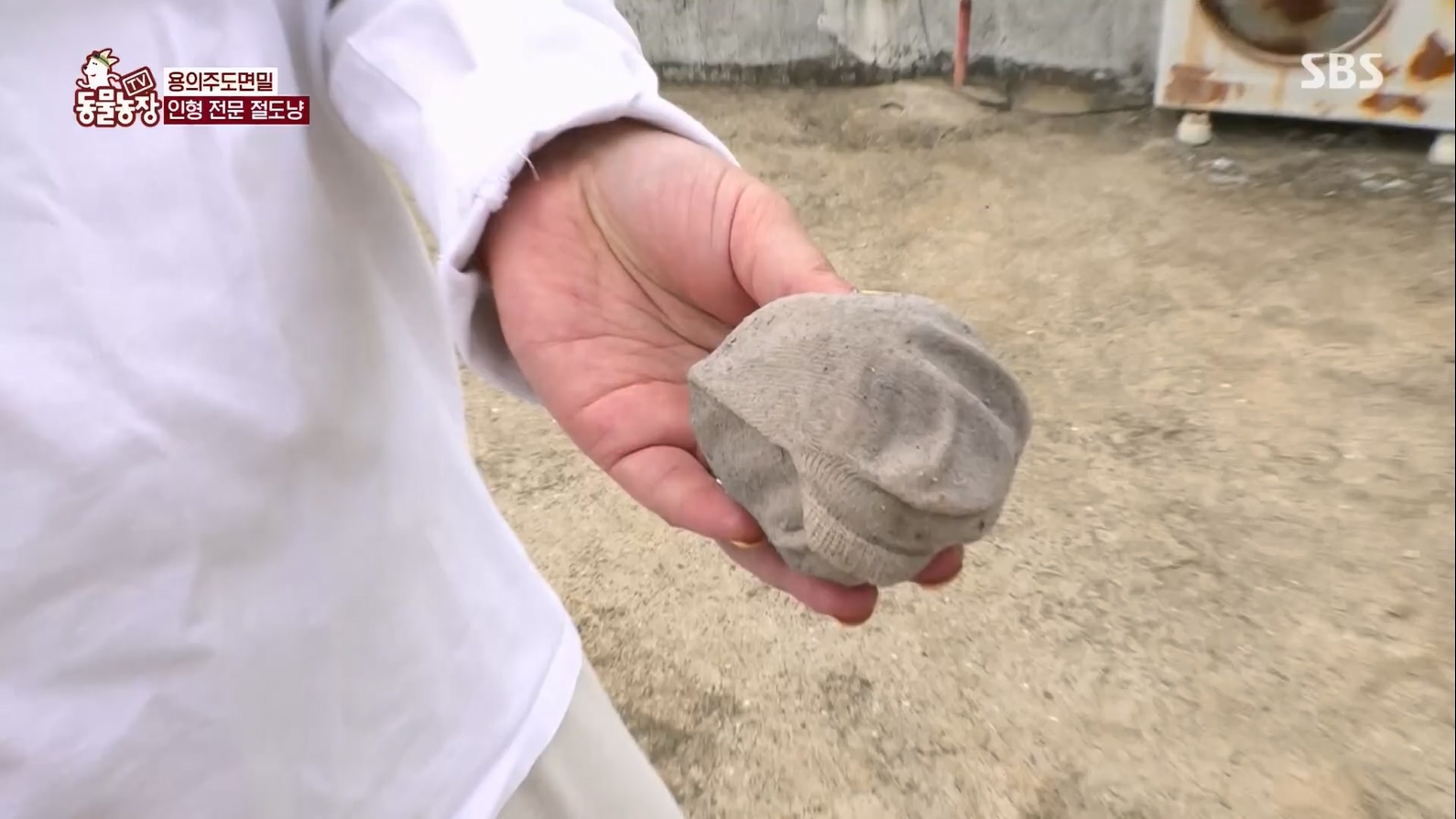 TV 동물농장.E1127.230702p.H264-F1RST.mp4_20230704_212705.372.jpg