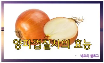 양파껍질 차 효능 영양성분_15