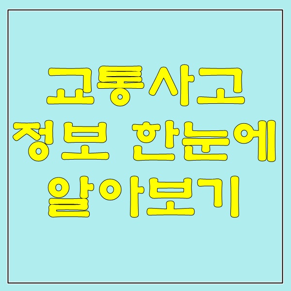  교통사고정보를 한눈에 알아보기