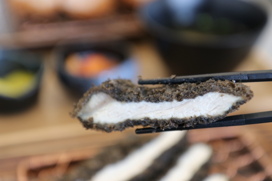 돔 종류이름 극찬했던 일산 16