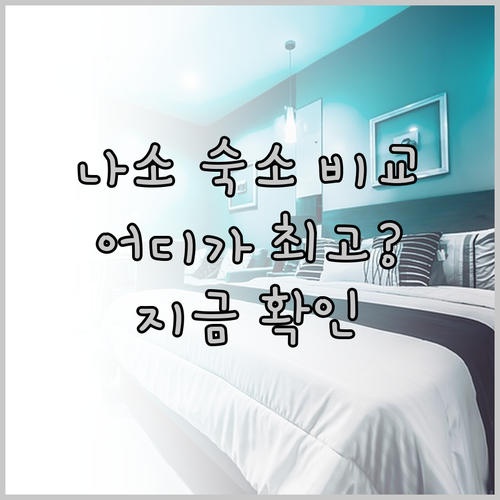 나소의 매력적인 숙소 3곳 비교분석 