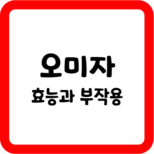 오미자의 효능과 부작용