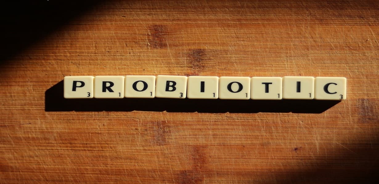 &quot;PROBIOTIC&quot; 이라는 문자 큐브가 일렬로 놓여져 있어 헬리코박터균과의 관계를 명확히 보여준다