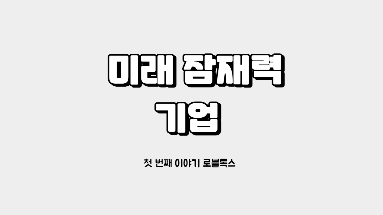  미래 잠재력 기업  첫 번째 이야기 로블록스