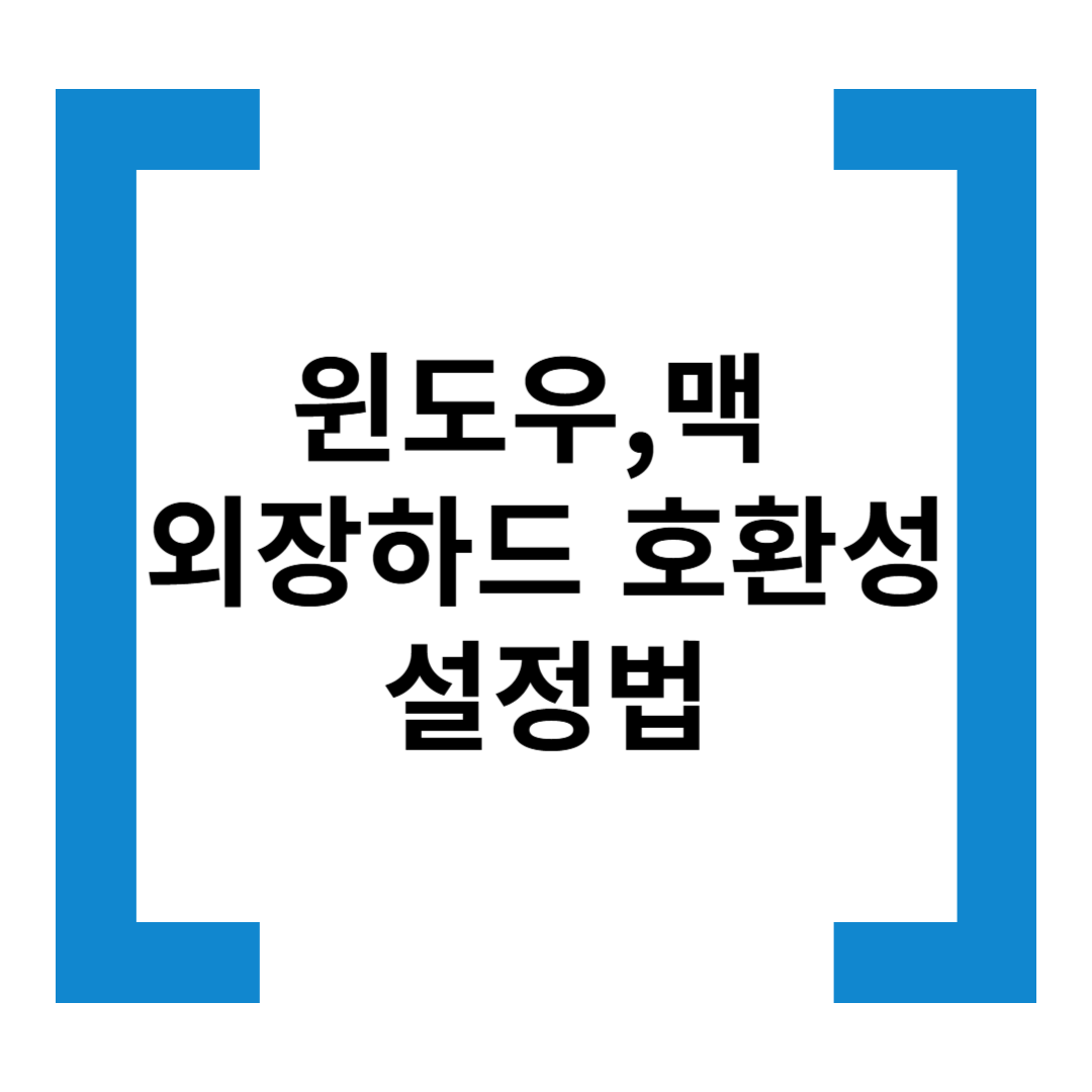 윈도우 vs 맥에서 외장하드 호환성 맞추는 방법