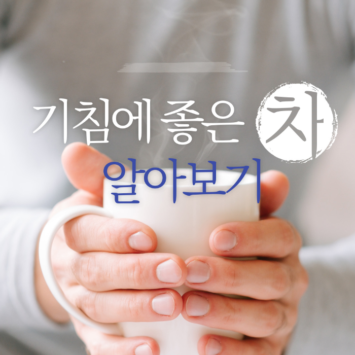  기침에 좋은 차 알아보기