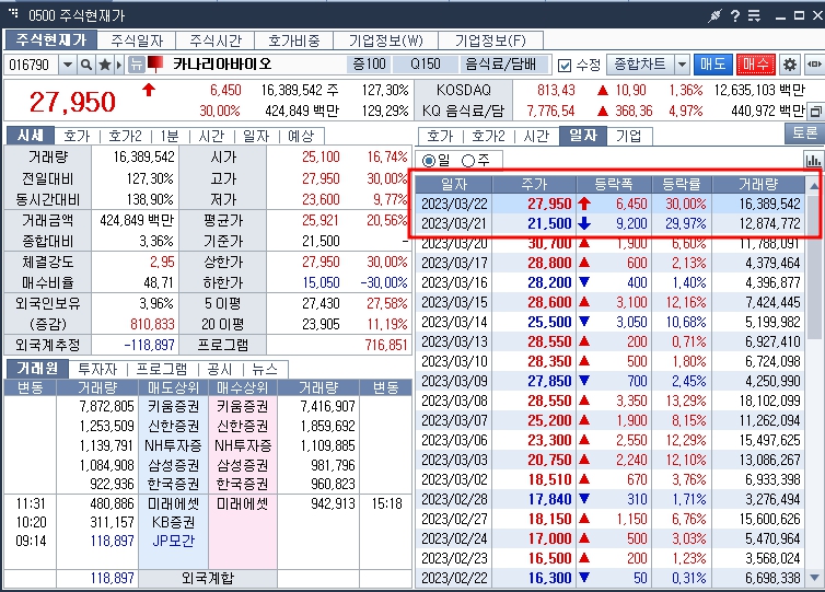 카나리아바이오 감사보고서