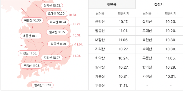 가을 꽃 축제