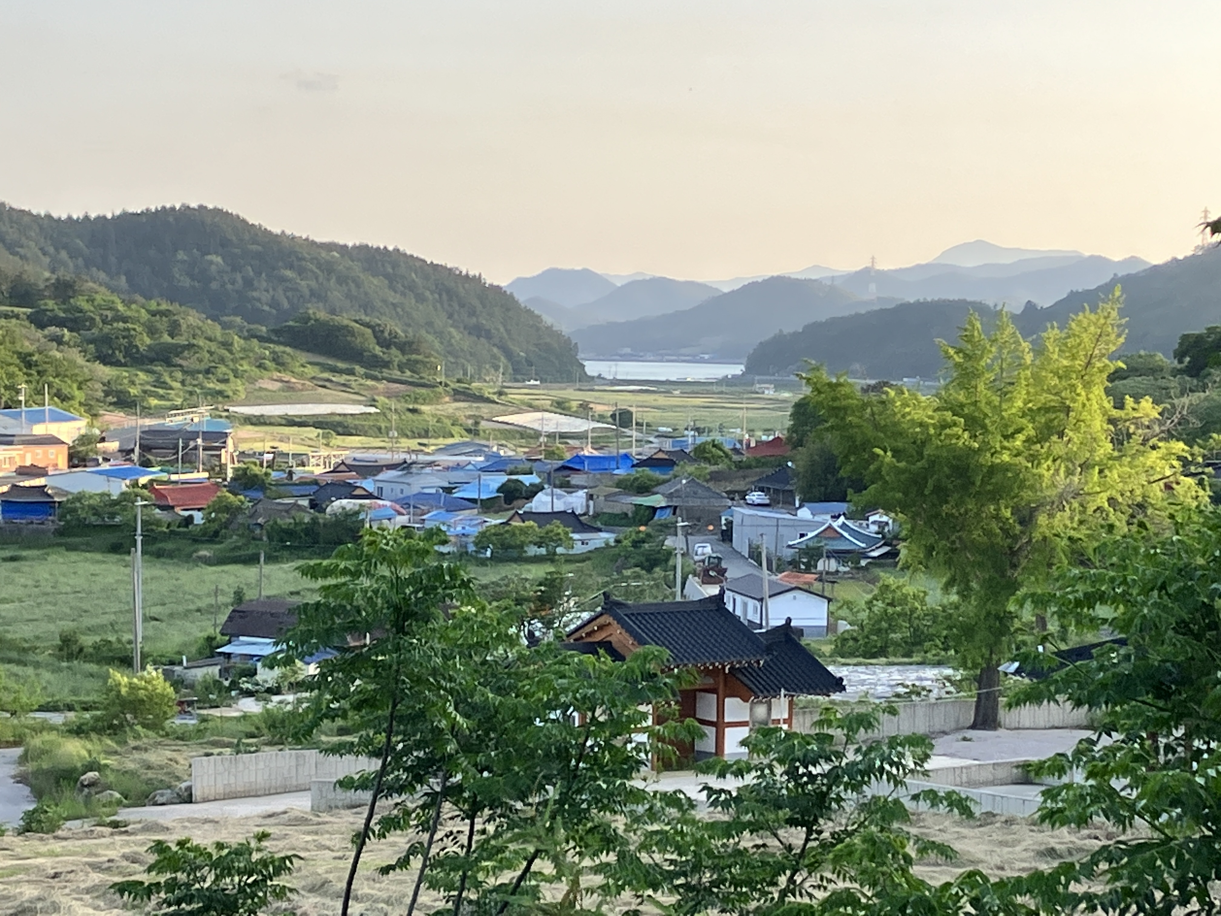 산에서 내려다본 마을 정경&#44; 저 뒤로 바다가 보인다