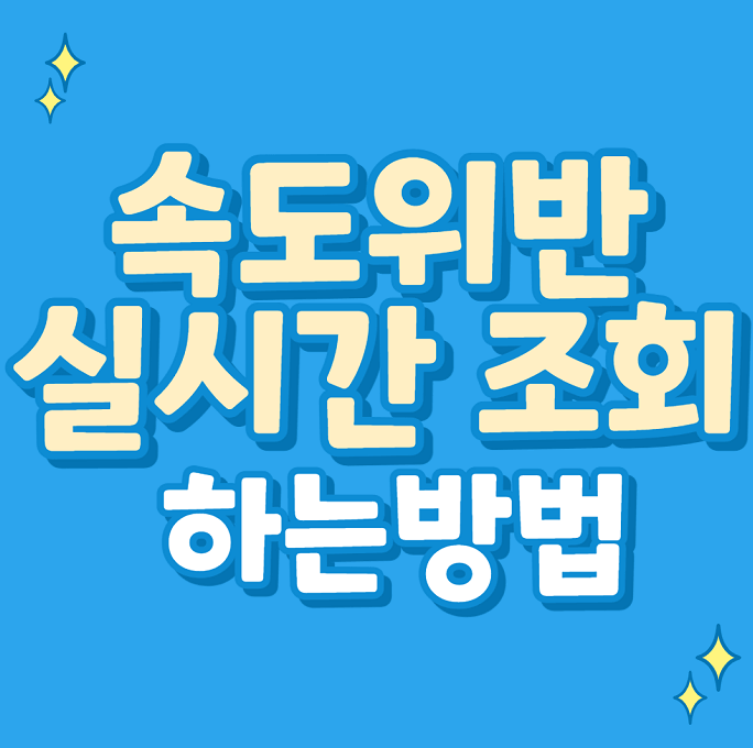  자동차, 차량 속도위반 실시간 조회하는 방법(사이트)