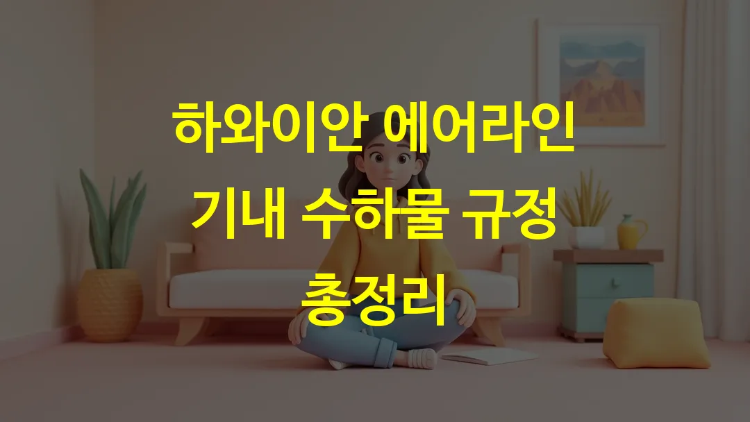 하와이안 에어라인 기내 수하물 규정 총정리