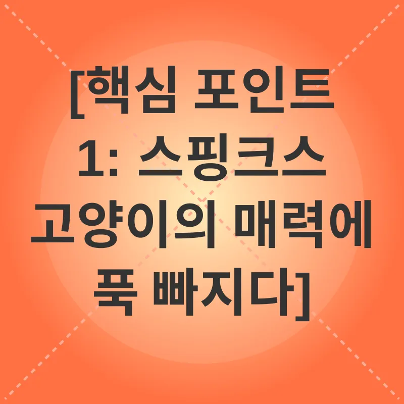 스핑크스 고양이 입양_1