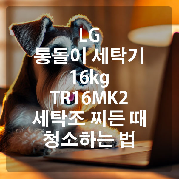 LG 통돌이 세탁기 16kg TR16MK2 세탁조 찌든 때 청소하는 법