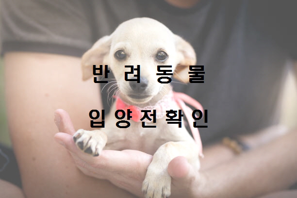  노다지네 잡학다식