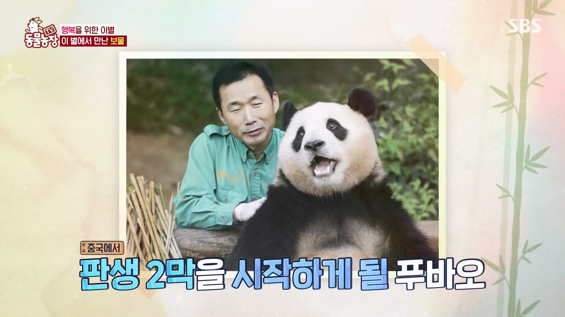 TV 동물농장.E1166.240407p-NEXT.mp4_20240407_164507.613.jpg