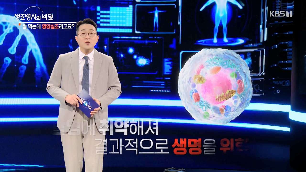 생로병사의 비밀.E906.240328p-NEXT.mp4_20240328_210404.195.jpg