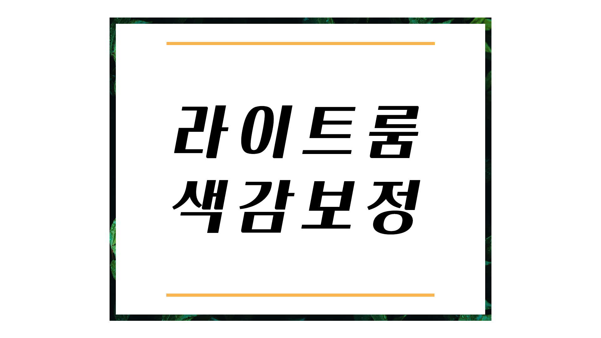  라이트룸 색감 보정(필름느낌, 노출, 프리셋 적용)