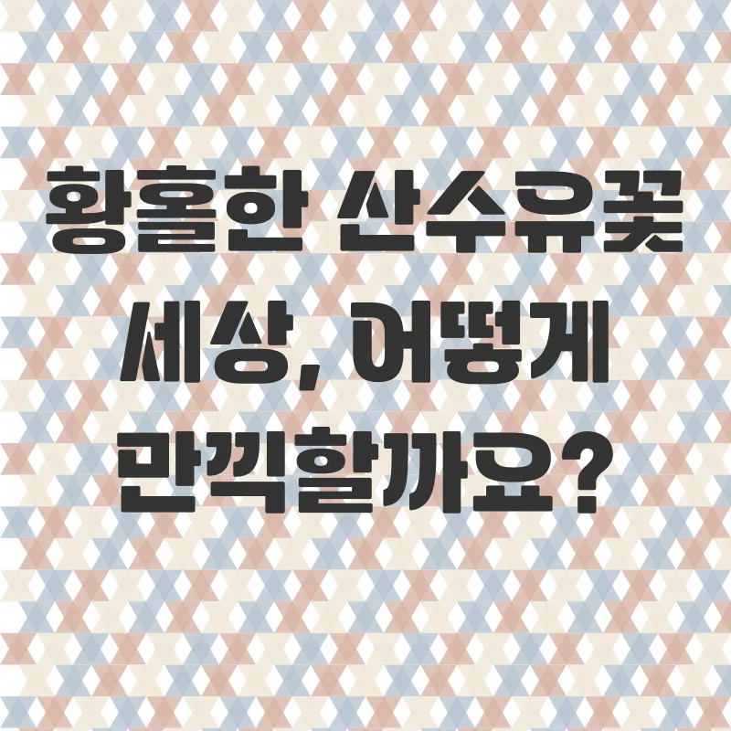 힐링촌캉스_2
