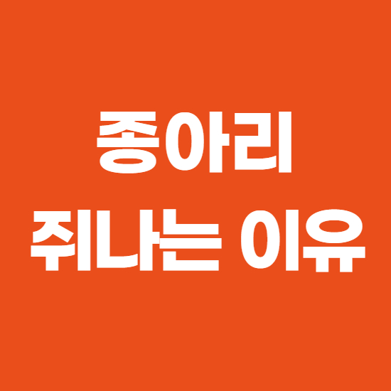 종아리 쥐나는 이유와 통증 그리고 해결방법