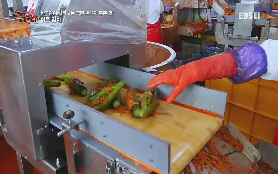TV - 교육의 중심 EBS한국인이 사랑하는 국민 반찬의 모든 것!.mp4_20220925_171804.571.jpg