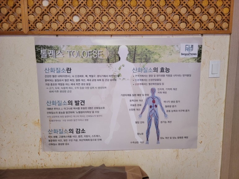 생성해주는 톨레스 디톡스관리 받았어요 [큐어랩]수서 부종 관리 산화질소 1