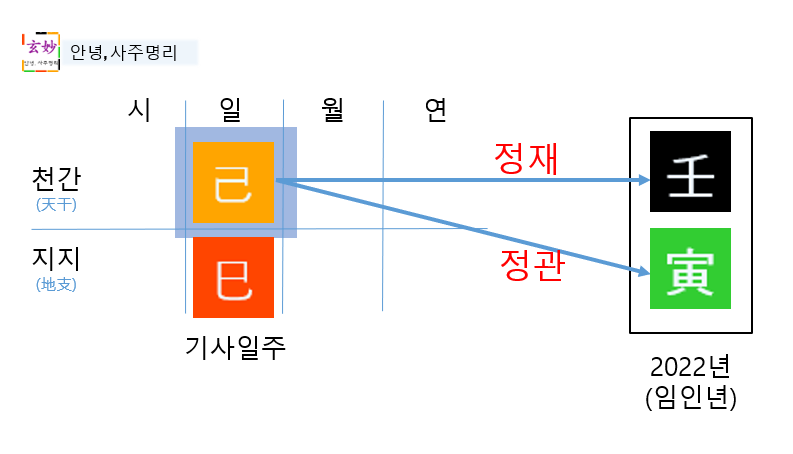 2022년 임인년 운세(기사일주)