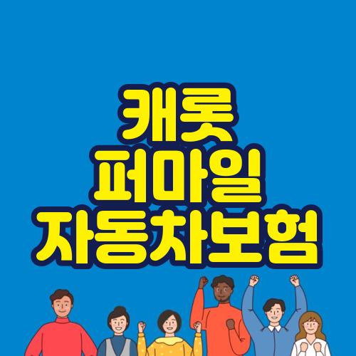 캐롯 퍼마일 자동차보험