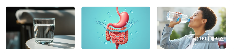 담석증, 통증 없이 예방하려면? 효과적인 식습관 알아보기 - 담석증, 예방하려면 어떤 식습관이 필요할까요? - 3. 충분한 물 섭취하기 충분한 물 섭취하기