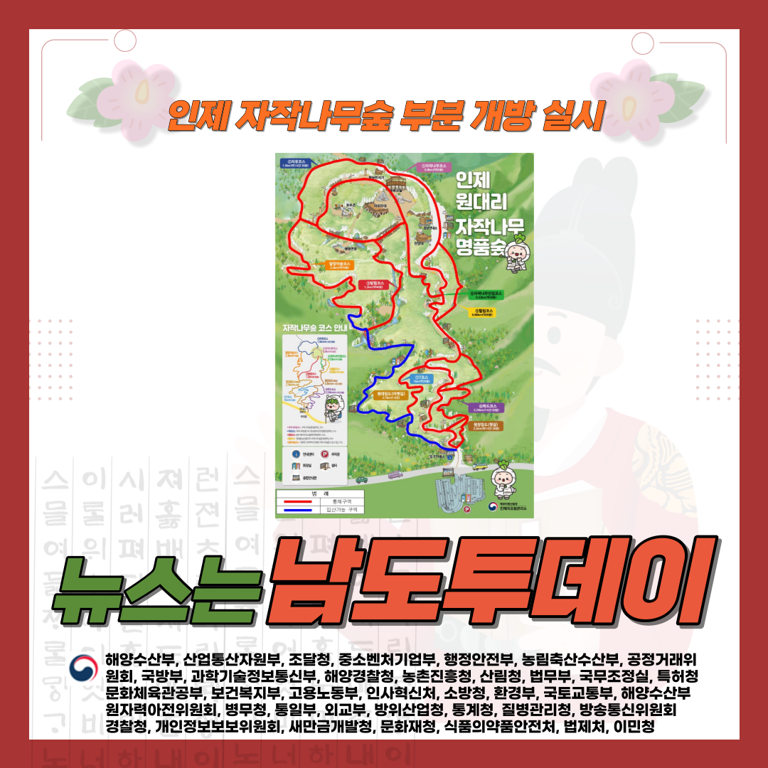  인제 자작나무숲, 봄을 맞이하여 새로운 모습으로 돌아온다-남도투데이