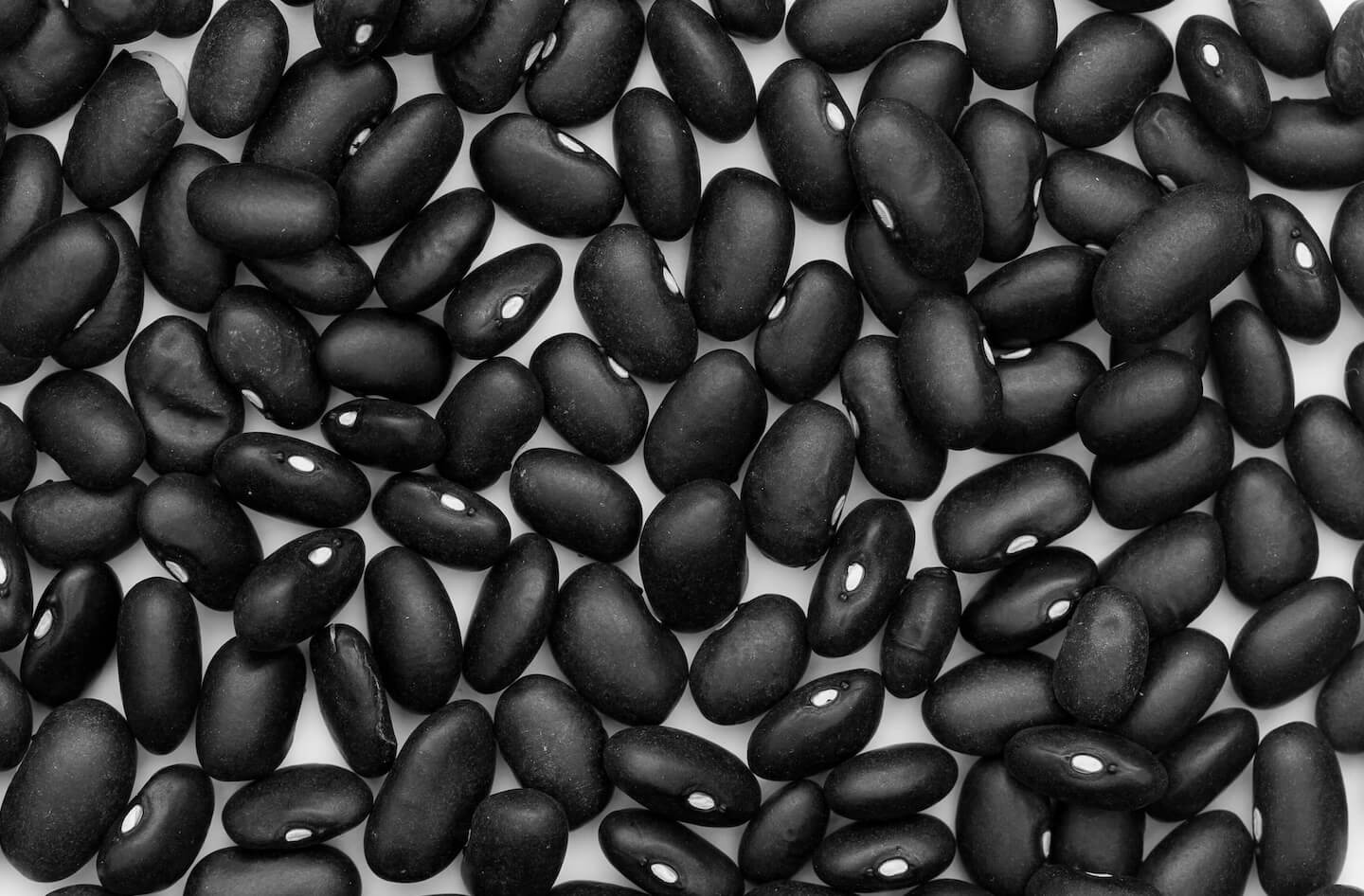 black bean