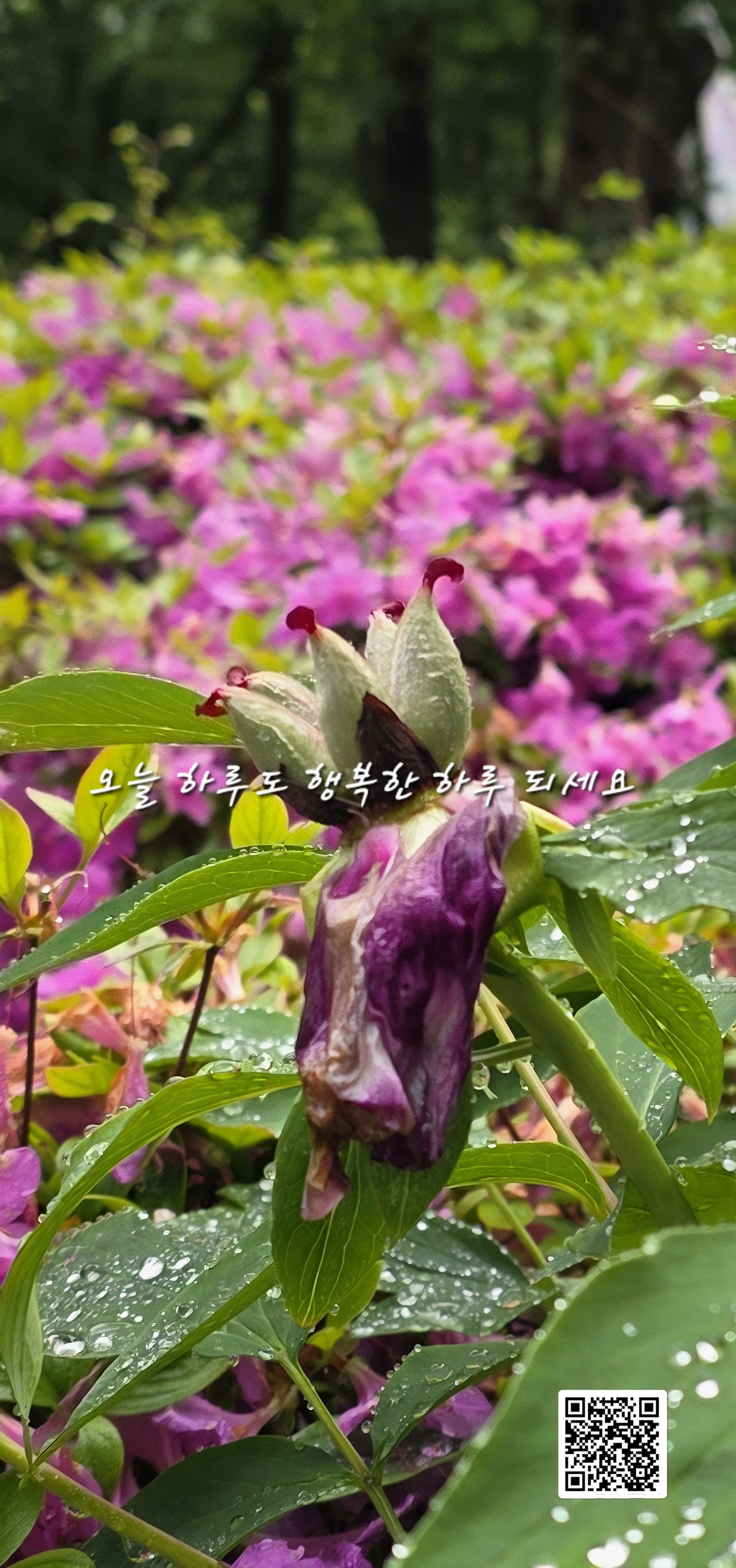 만남 이미지