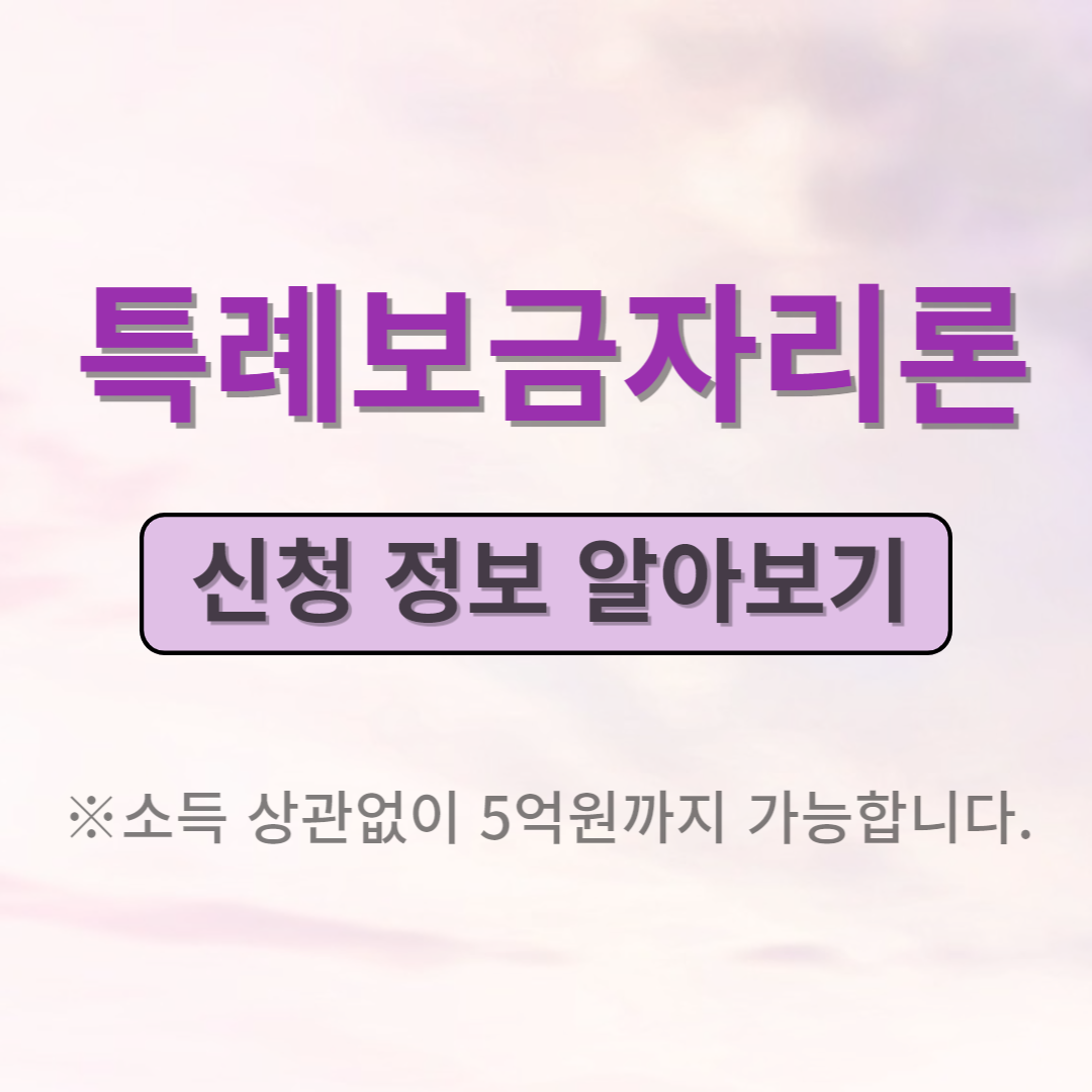 특별 주택 대출