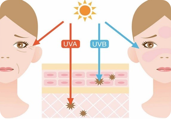 UVA와 UVB 투과
