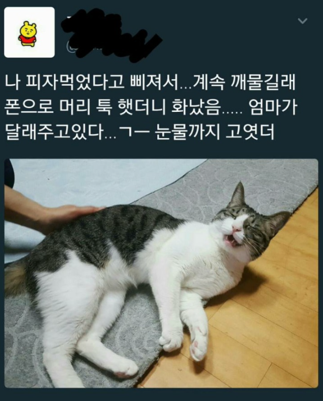  세상 제일 서러운 고영희씨
