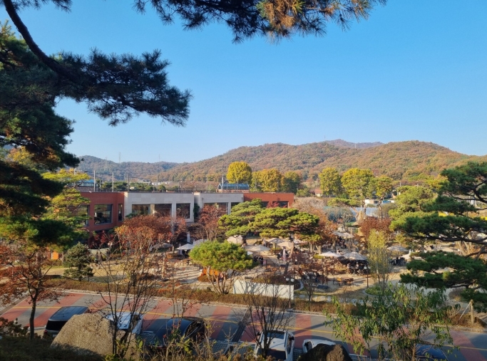 포토존 이미지