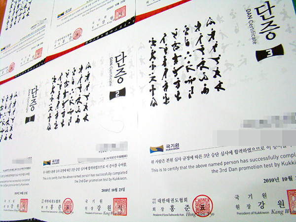 새롭게 바뀐 태권도 품증, 단증 디자인 새롭게 바뀐 태권도 품증, 단증 디자인