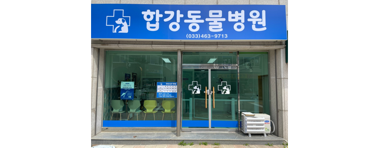 인제군 동물병원