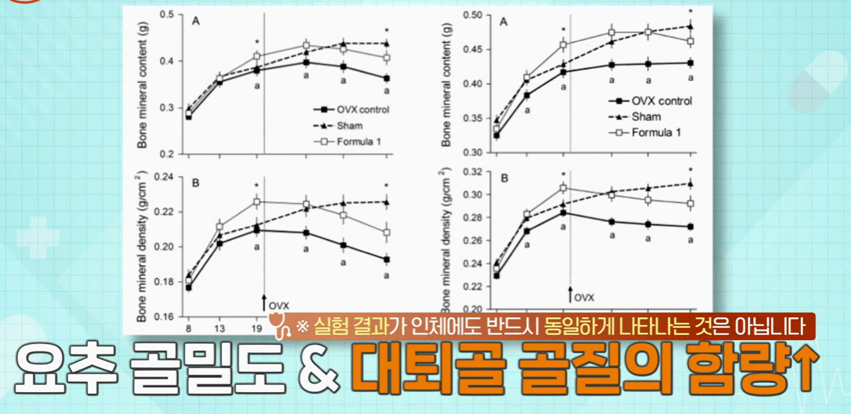 산양유 단백질 효능