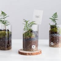 더큰심다숲 이끼 테라리움 DIY 만들기 식물 키트 키우기 테라리엄 비바리움 재료