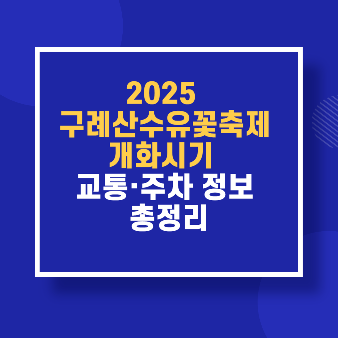 2025 구례산수유꽃축제! 개화 시기ㅣ 교통·주차 정보 총정리