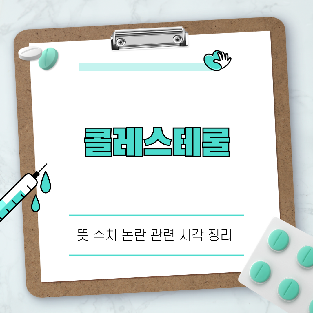 콜레스테롤 뜻