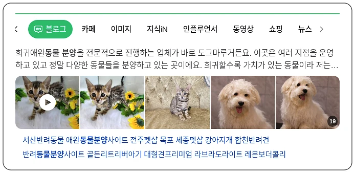 동물분양_1_subsection