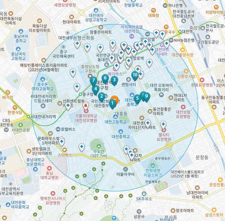 대전 중구 대흥동 일요일 진료 휴일 문 여는 병원