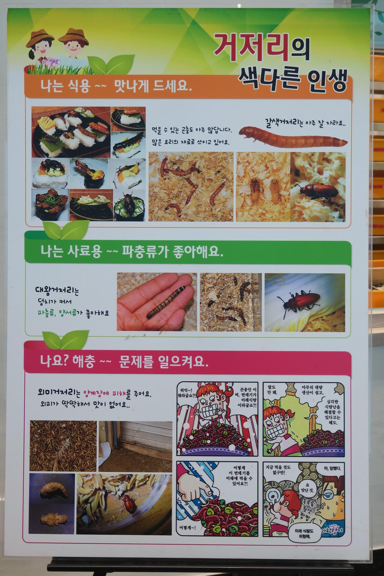 자연환경(주) 이미지