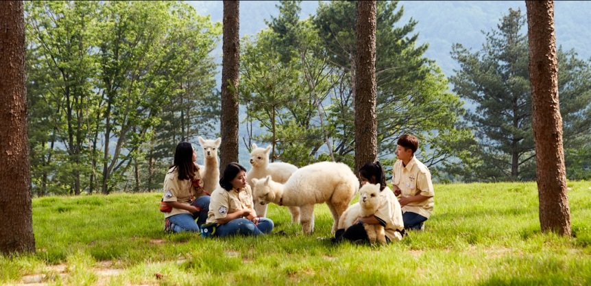 전국여행지