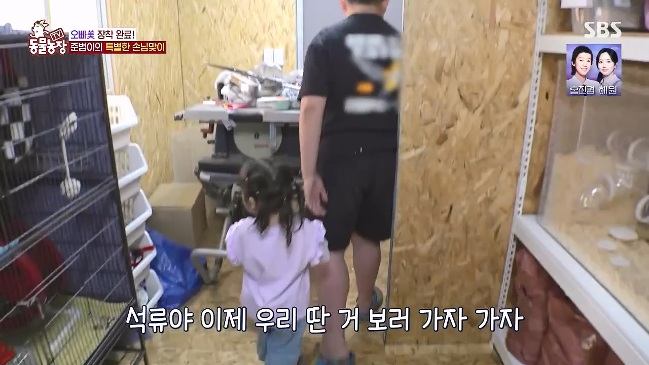 TV 동물농장.E1178.240630.ts_20240630_164644.237.jpg