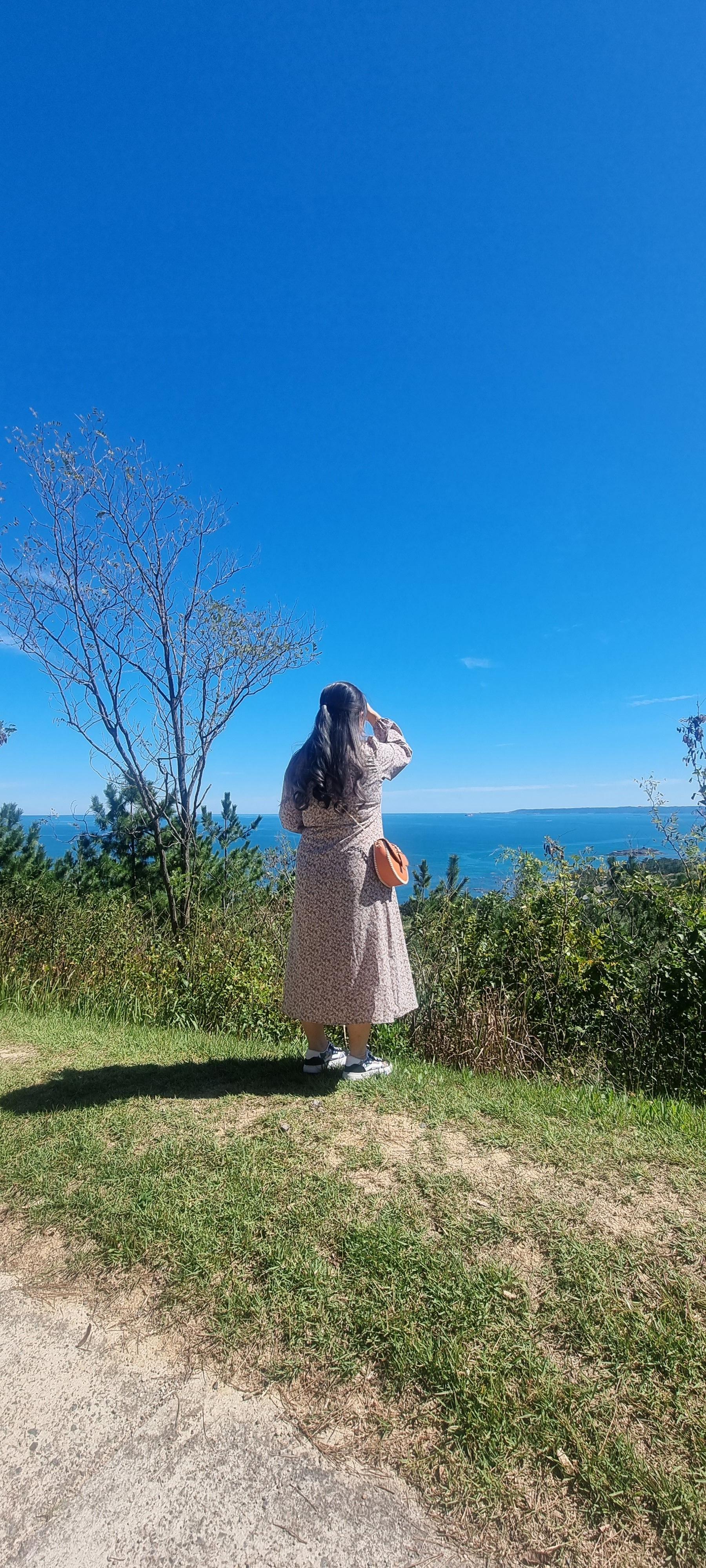 포항 8