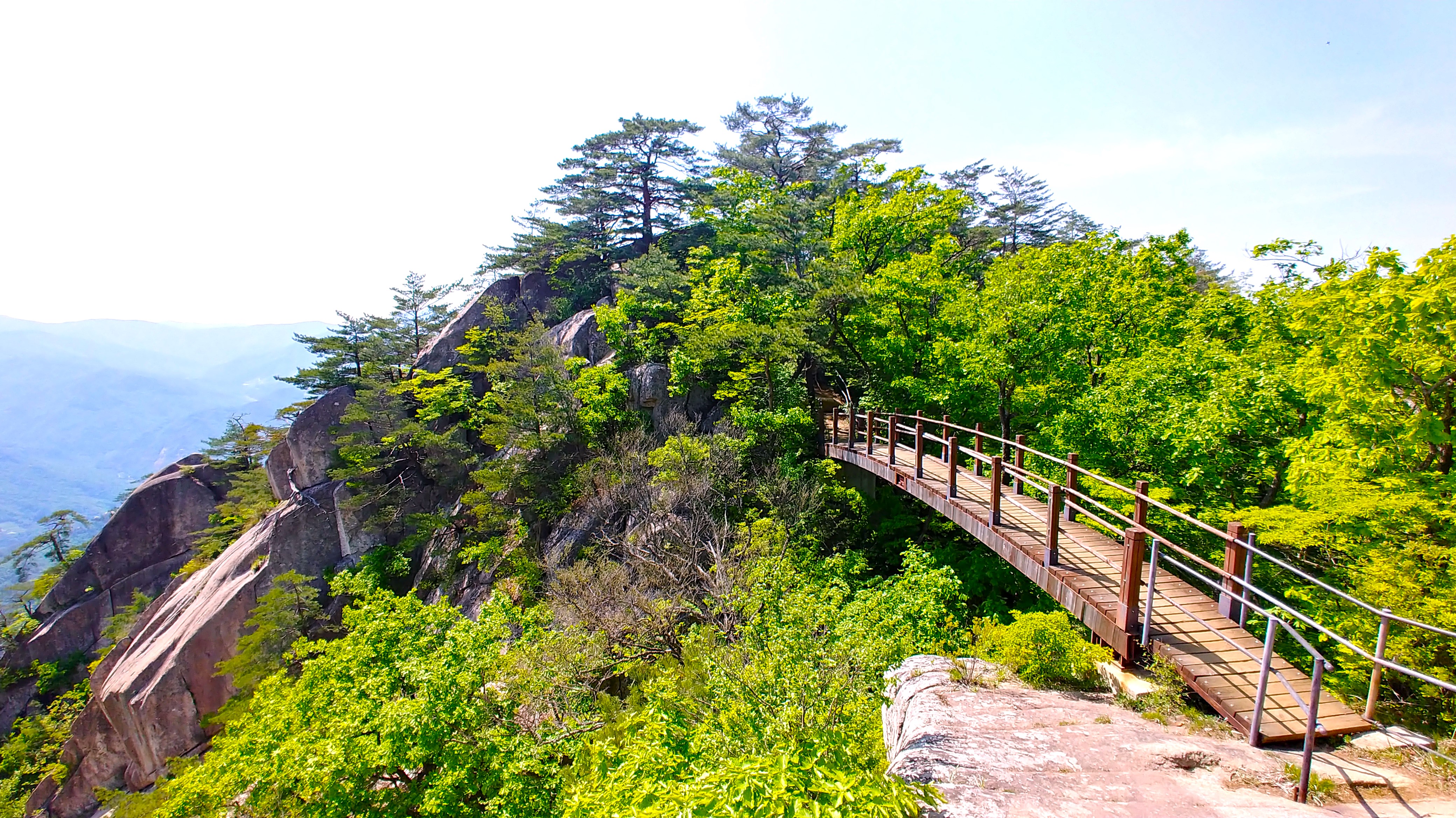 단양 도락산